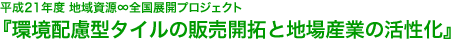 平成21年度 地域資源∞全国展開プロジェクト 『環境配慮型タイルの販売開拓と地場産業の活性化』