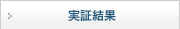 実証結果