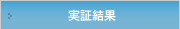 実証結果